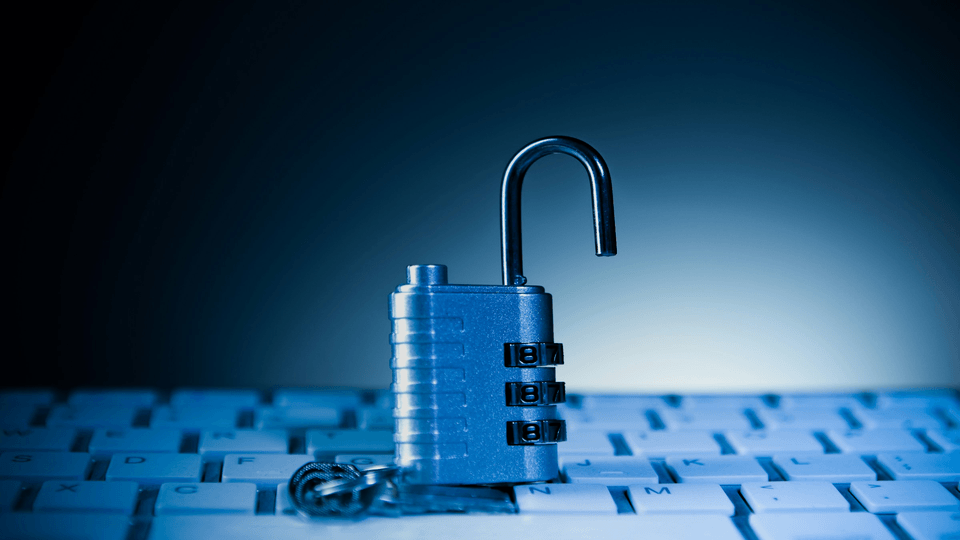 Data Privacy in AI Deployment: A Leader's Guide