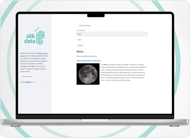 Silk Data: Large-scale Image Search
